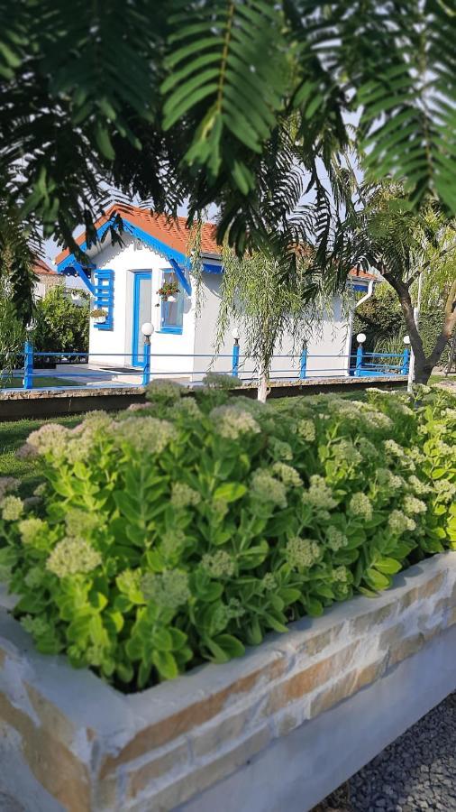 Complex Turistic Essenza Guest house Murighiol